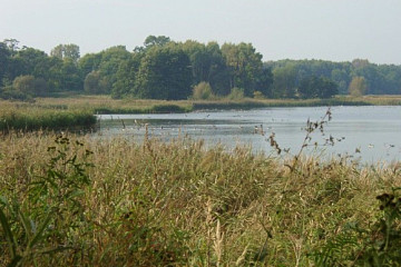 01_10.10. Angermuende NABU Erlebniszentrum-Gaenseweiher